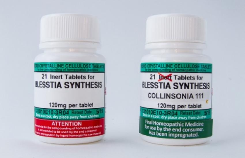 BLESSTIA SYNTHESIS COLLINSONIA 111